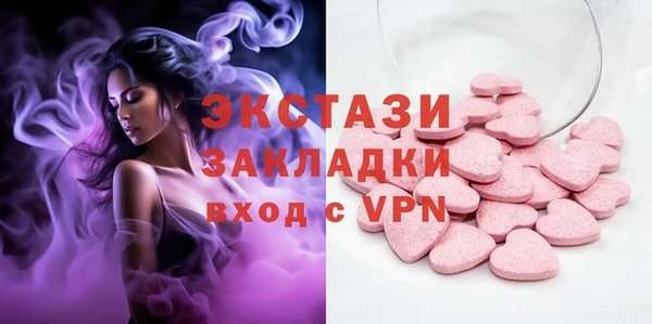 прущие грибы Медвежьегорск