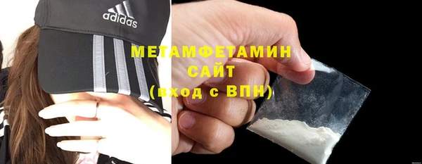прущие грибы Медвежьегорск