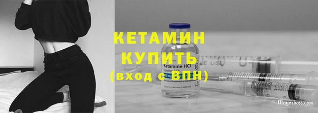 прущие грибы Медвежьегорск
