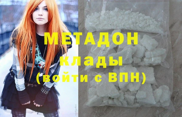 прущие грибы Медвежьегорск