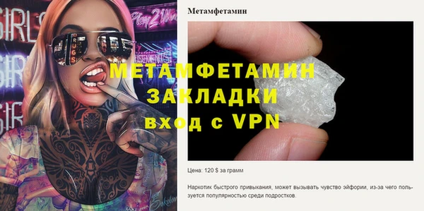 прущие грибы Медвежьегорск