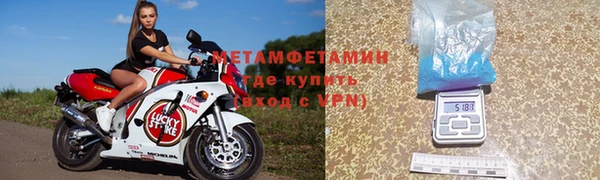 прущие грибы Медвежьегорск