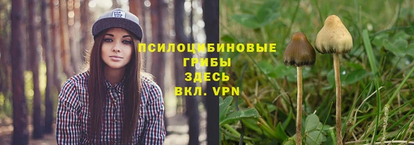 Альфа ПВП Медногорск