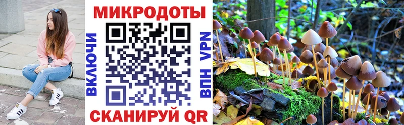 Галлюциногенные грибы MAGIC MUSHROOMS  Купить  Бахчисарай 